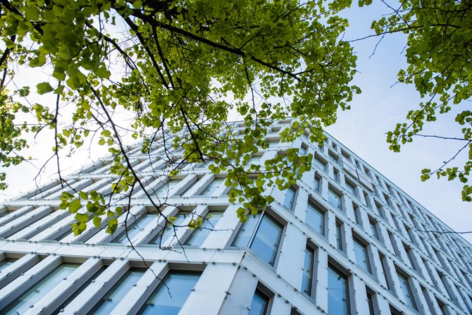 Diagonalet .jpg